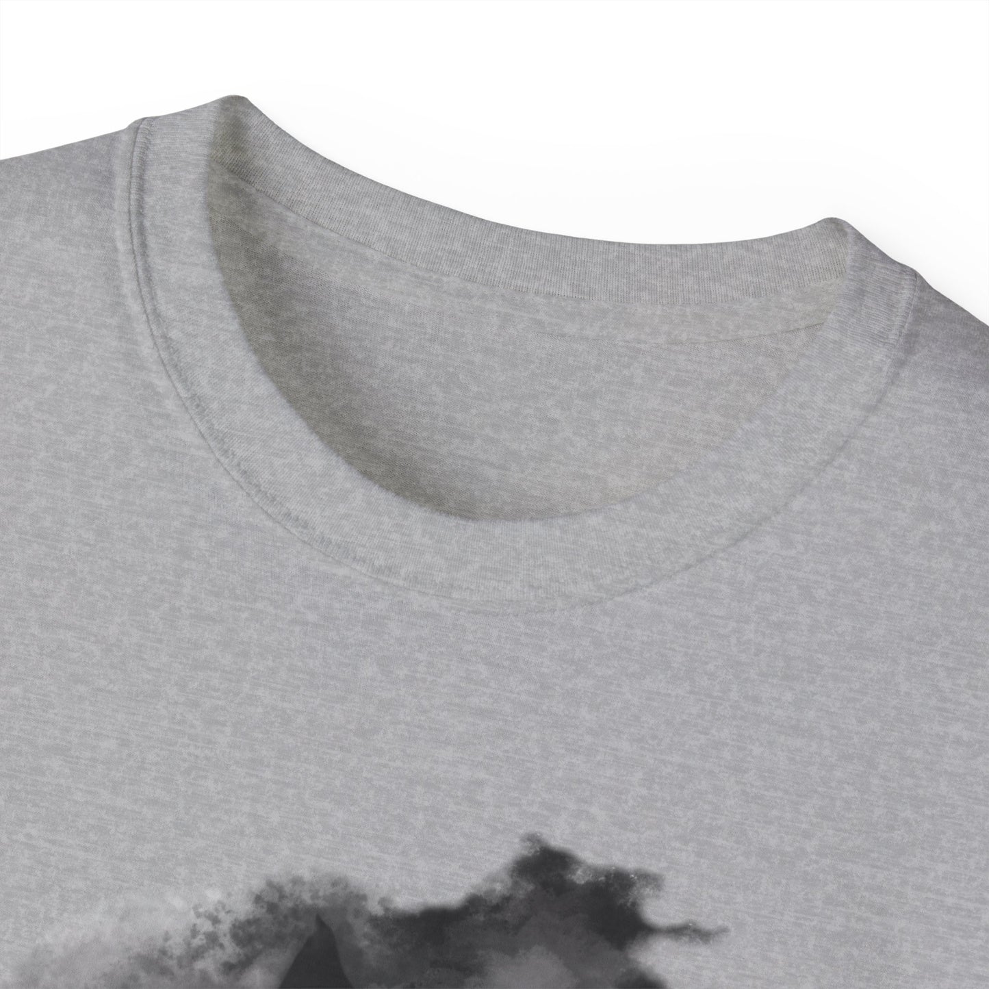 Unisex Ultra Cotton Tee