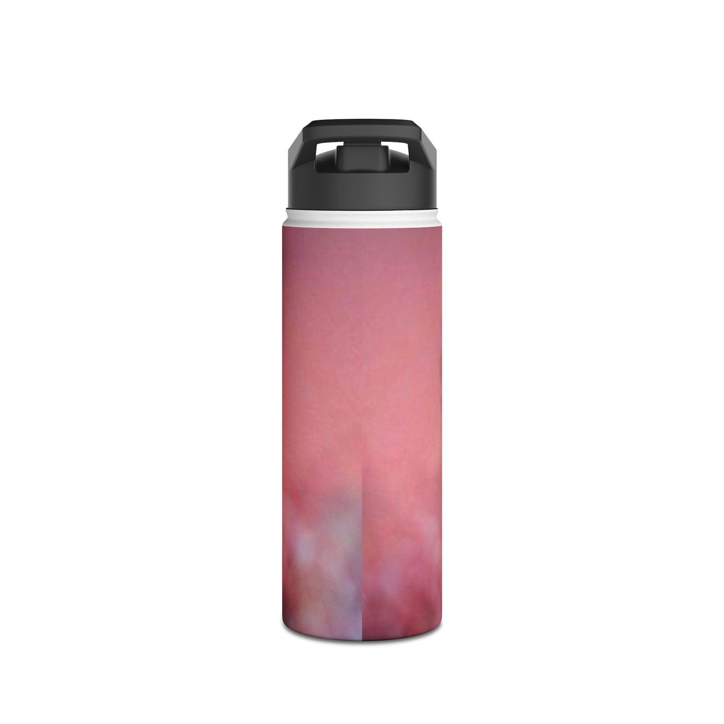 Stainless Steel Water Bottle, Standard Lid