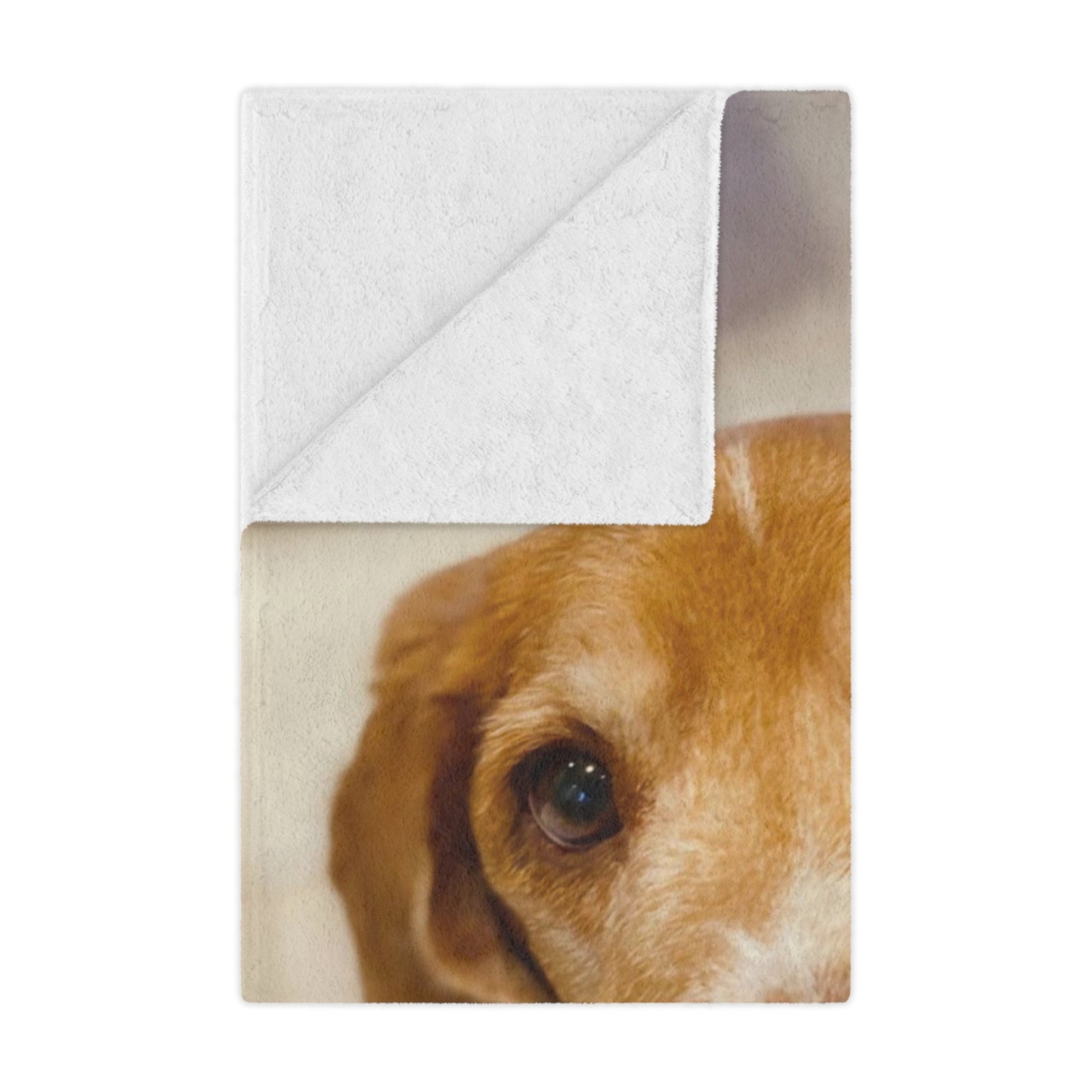 Minky Blanket
