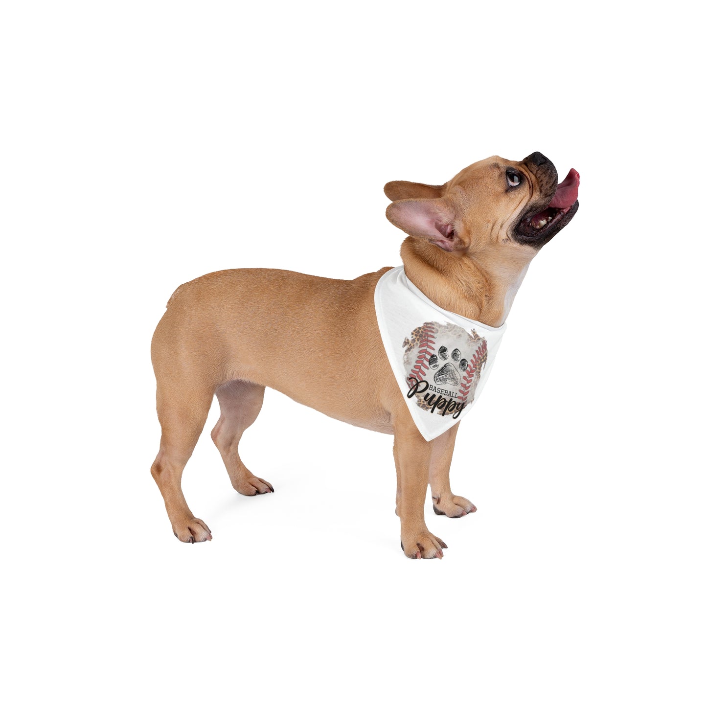 Pet Bandana