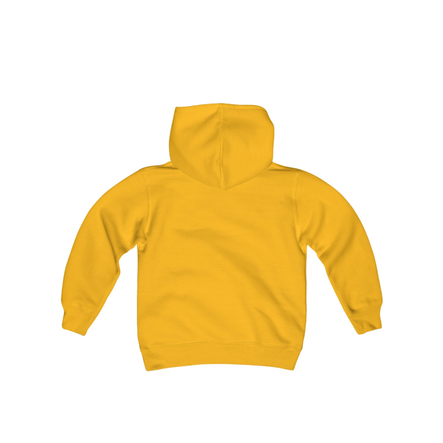 Copy of Youth Heavy Blend Hooded Sweatshirt