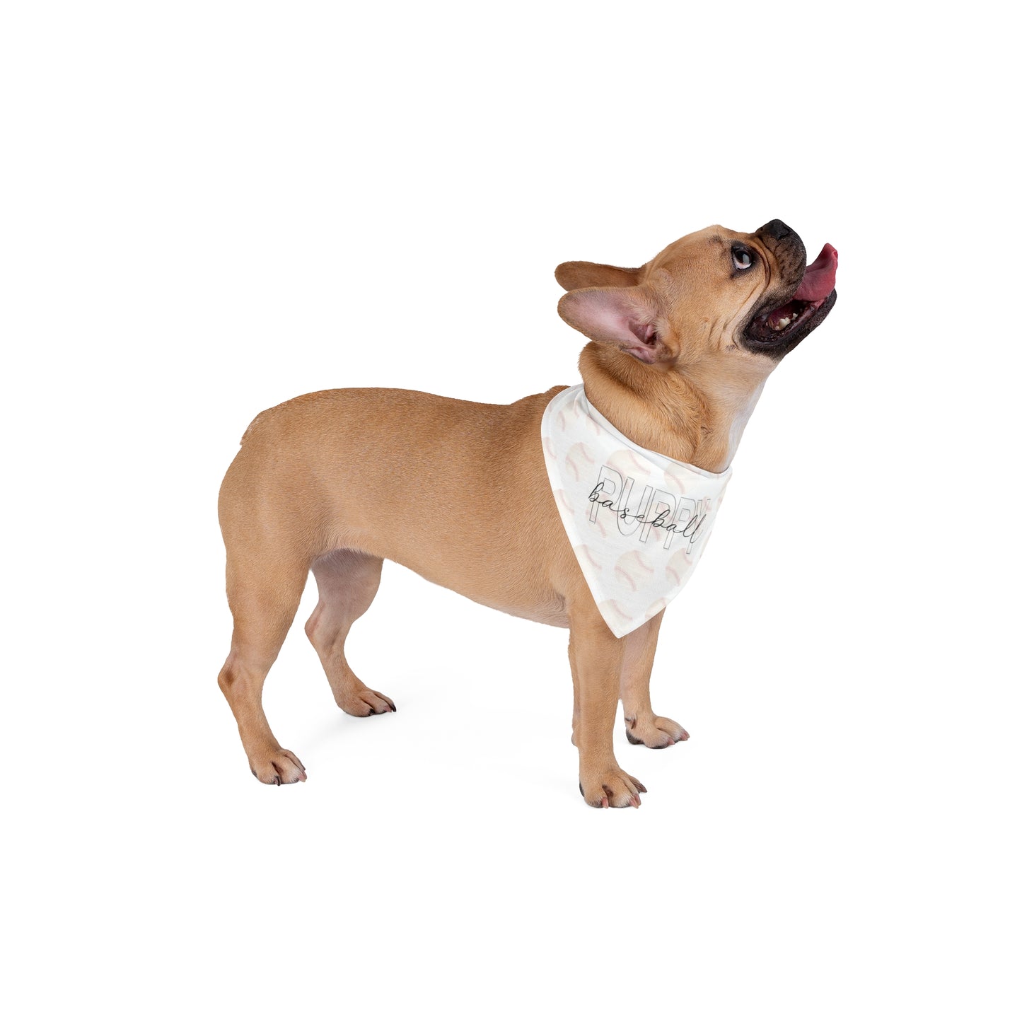 Copy of Copy of Pet Bandana