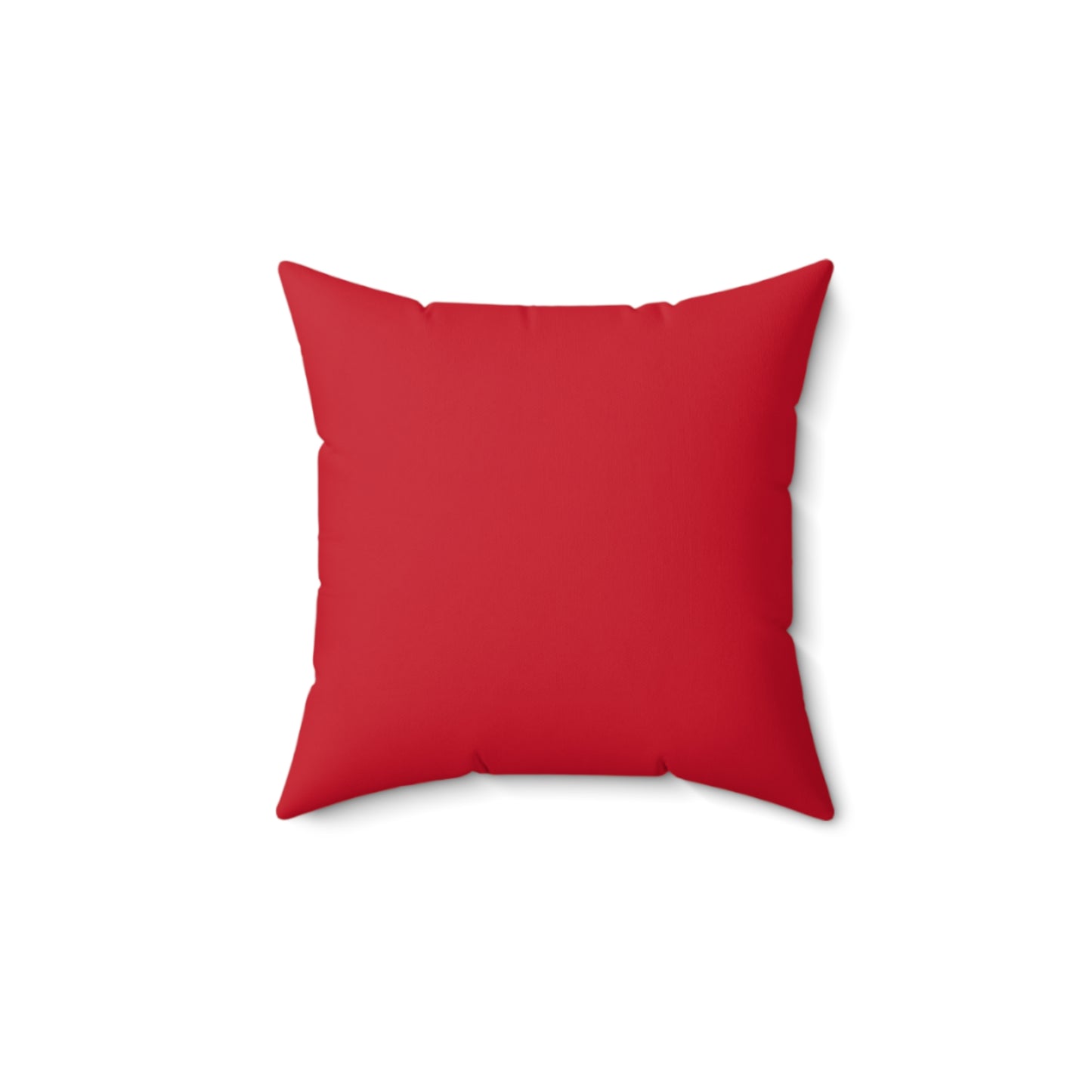Faux Suede Square Pillow