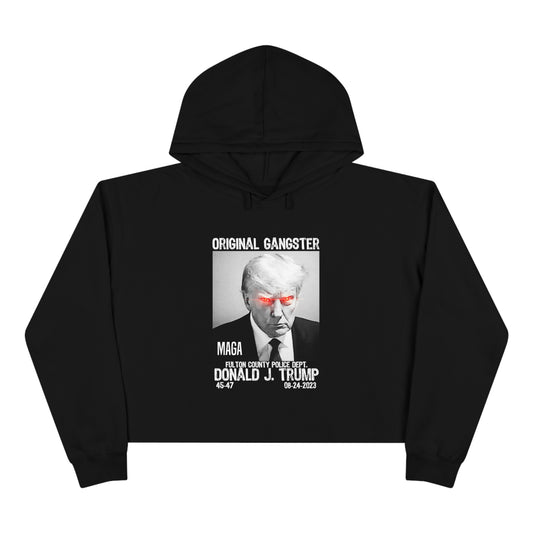 Crop Hoodie