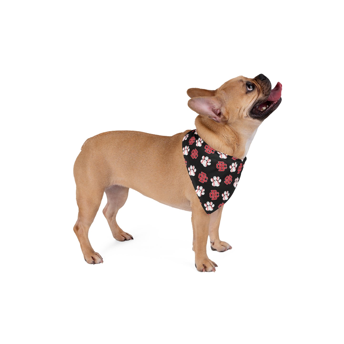 Copy of Pet Bandana