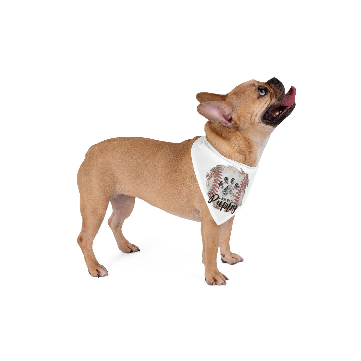 Pet Bandana