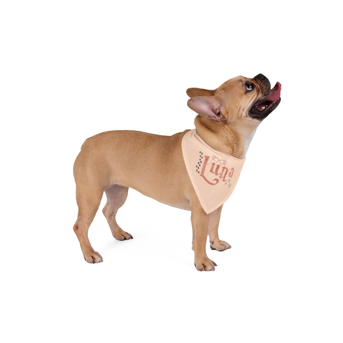 Copy of Pet Bandana