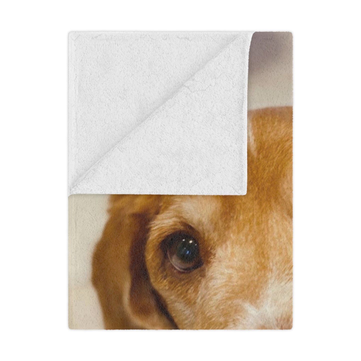 Minky Blanket