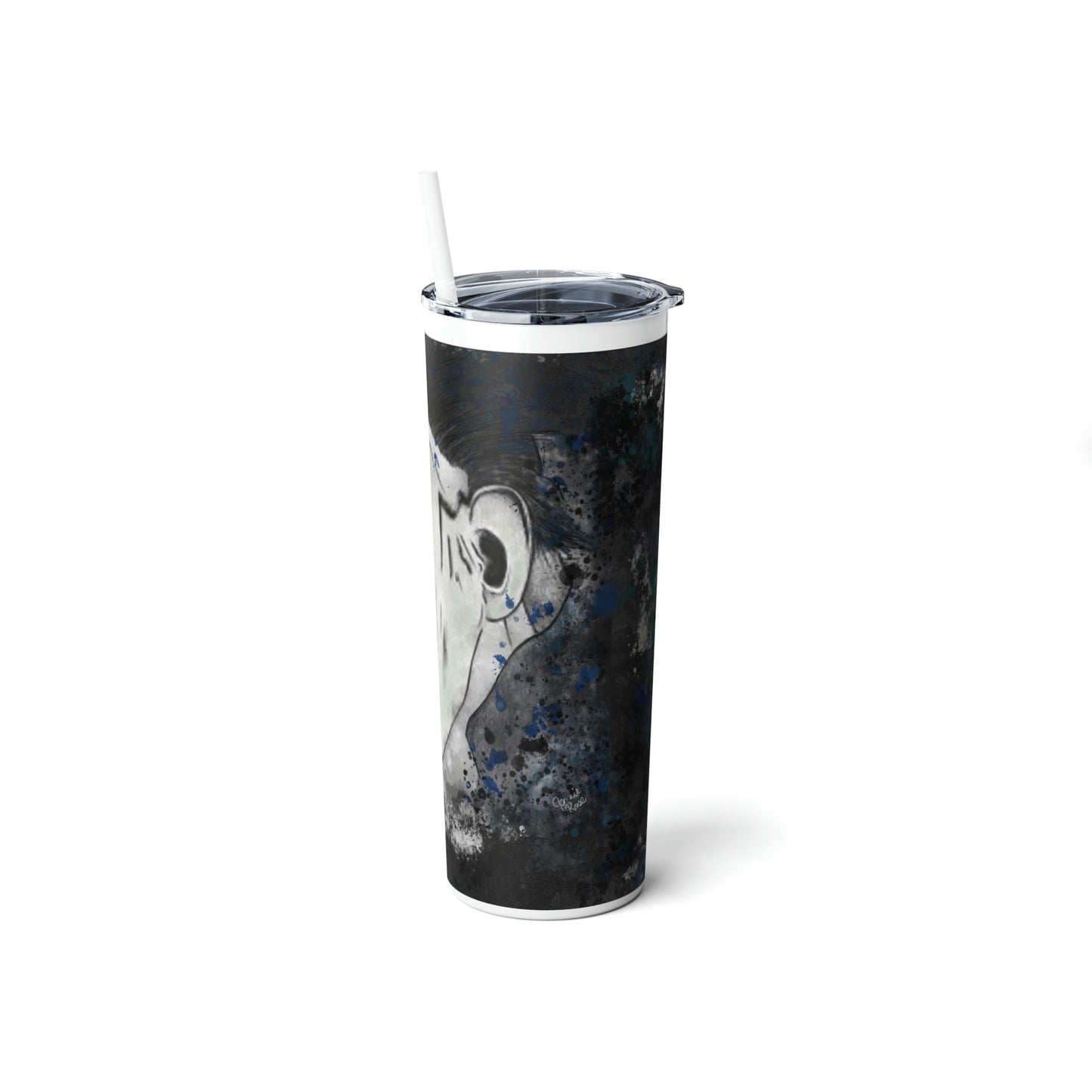 Skinny Steel Tumbler with Straw, 20oz